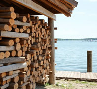 Timber Piles